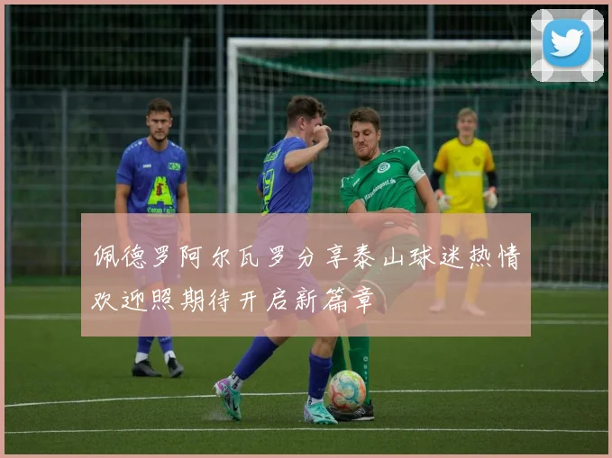 佩德罗阿尔瓦罗分享泰山球迷热情欢迎照期待开启新篇章