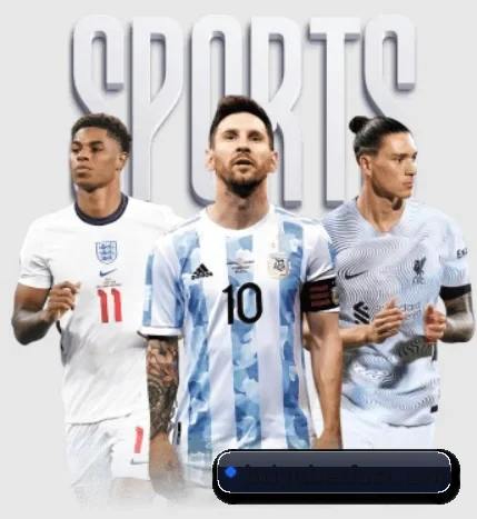 B体育 APP 界面