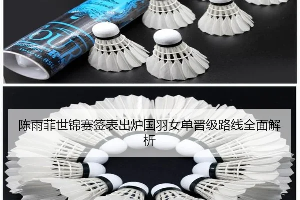 陈雨菲世锦赛签表出炉国羽女单晋级路线全面解析
